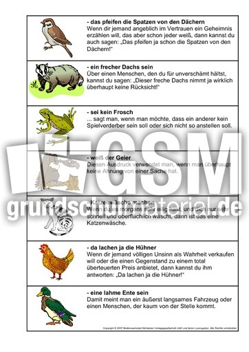 Redensarten-Tiere-4.pdf